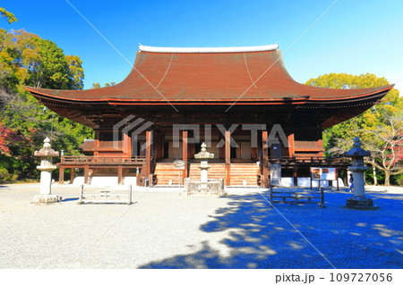 【滋賀県】快晴の三井寺（園城寺）の金堂 109727056