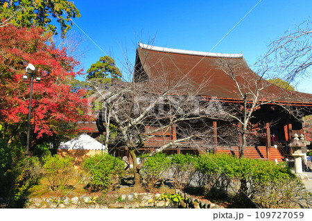【滋賀県】晴天の三井寺(園城寺)の金堂と紅葉 【滋賀県】晴天の三井寺(園城寺)の金堂と紅葉 109727059