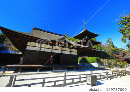 【滋賀県】快晴の三井寺（園城寺）の三重塔 109727069
