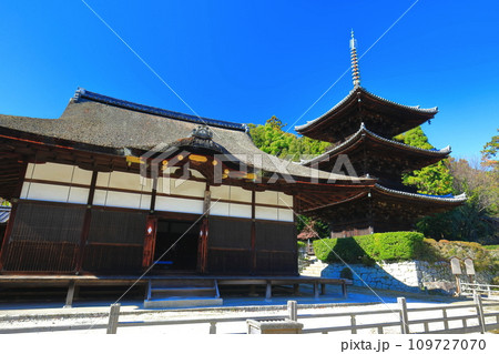 【滋賀県】快晴の三井寺(園城寺)の三重塔 【滋賀県】快晴の三井寺(園城寺)の三重塔 109727070