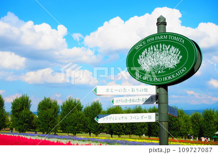 青空と花畑の広がる風景 109727087