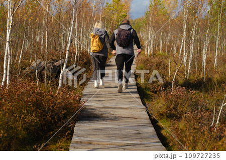 Two tourists walk along a wooden path in a swamp in Yelnya, Belarus 109727235