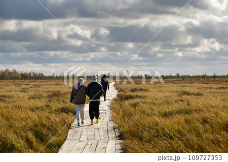 People in boots walk along a wooden path in a swamp in Yelnya, Belarus 109727353