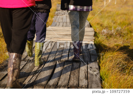 People in boots walk along a wooden path in a swamp in Yelnya, Belarus 109727359