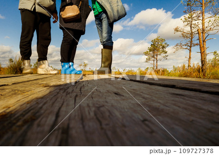 People in boots walk along a wooden path in a swamp in Yelnya, Belarus 109727378