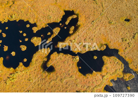 An aerial view of an autumn bog in Yelnya, Belarus, autumn. Ecosystems ecological problems climate change An aerial view of an autumn bog in Yelnya, Belarus, autumn. Ecosystems ecological problems climate change 109727390