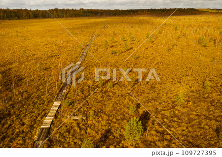 An aerial view of an autumn bog in Yelnya, Belarus, autumn. Ecosystems ecological problems climate change An aerial view of an autumn bog in Yelnya, Belarus, autumn. Ecosystems ecological problems climate change 109727395