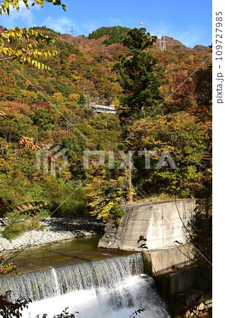 秋の仙岩峠 109727985