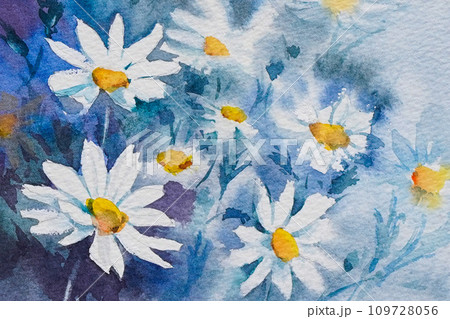 マーガレット 水彩画 のイラスト素材 [109728056] - PIXTA