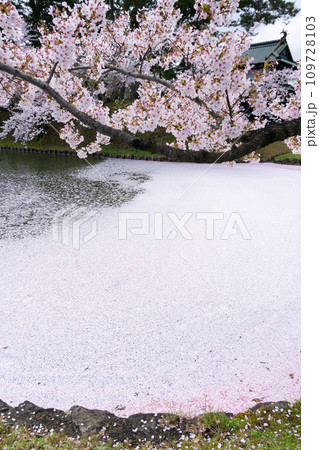 東北の春絶景 弘前城外堀の花筏 東北の春絶景 弘前城外堀の花筏 109728103