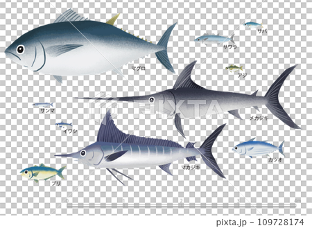 red fish red fish 109728174