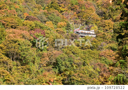 秋の仙岩峠 109728522