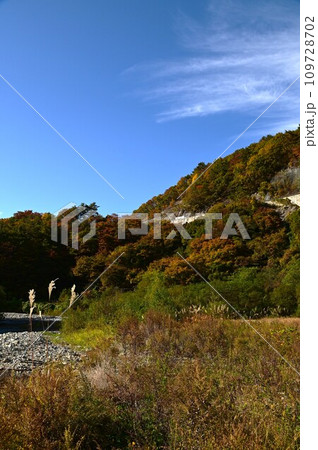 秋の仙岩峠 秋の仙岩峠 109728702