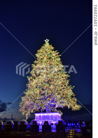 冬の北海道函館市クリスマスファンタジーのクリスマスツリーを撮影 冬の北海道函館市クリスマスファンタジーのクリスマスツリーを撮影 109728991