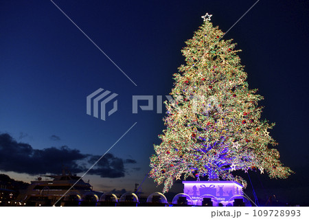 冬の北海道函館市クリスマスファンタジーのクリスマスツリーを撮影 109728993