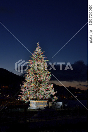 冬の北海道函館市クリスマスファンタジーのクリスマスツリーを撮影 冬の北海道函館市クリスマスファンタジーのクリスマスツリーを撮影 109729000