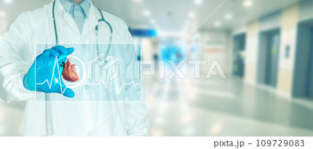 Doctor touching scan to check patient's heart with monitor Doctor touching scan to check patient's heart with monitor 109729083