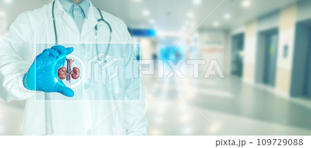 Doctor touching scan to check patient's kidney with monitor 109729088