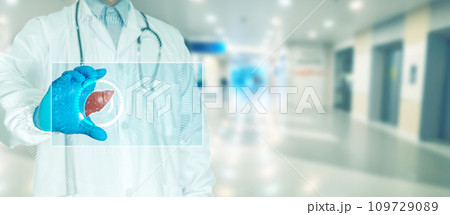 Doctor touching scan to check patient's liver with monitor 109729089