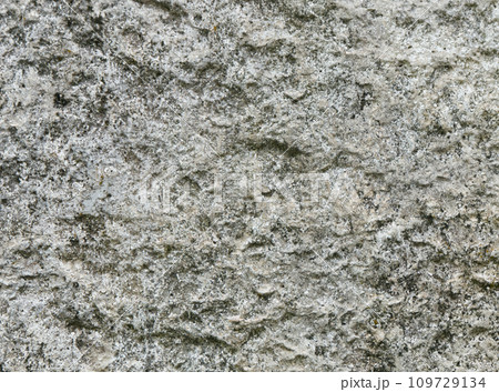 texture of rough gray concrete 109729134