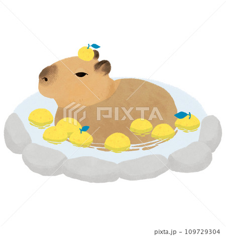 柚子湯につかるカピバラのイラスト 109729304