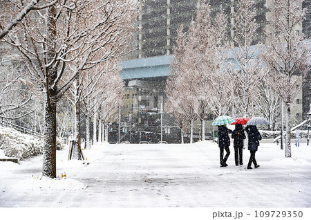 なごり雪 109729350