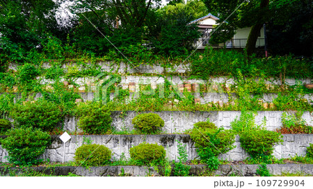 窯垣の小径（愛知県瀬戸市） 109729904