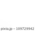 白色の背景画像（横） 109729942