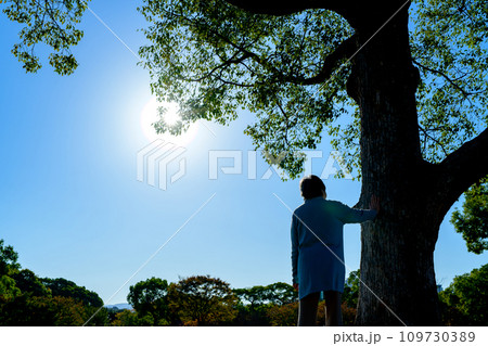 大樹に手を添え思いを馳せるシニアの女性 新緑公園 健康習慣 散歩 故人を偲ぶ 終活 シルエット 朝 大樹に手を添え思いを馳せるシニアの女性 新緑公園 健康習慣 散歩 故人を偲ぶ 終活 シルエット 朝 109730389