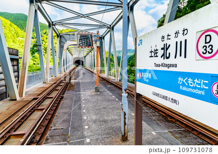 土讃線 土佐北川駅　～鉄橋上の駅～ 109731078