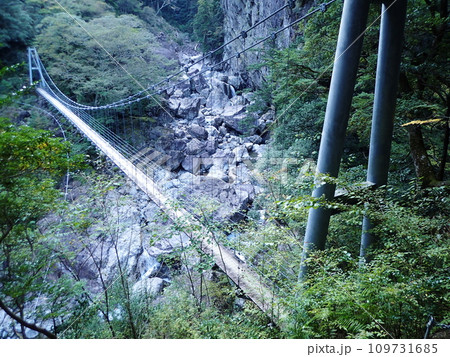 大杉谷（三重県） 109731685