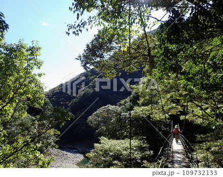 大杉谷（三重県） 109732133