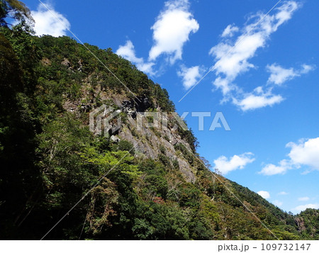 大杉谷（三重県） 109732147