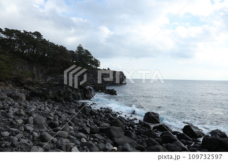 城ヶ崎海岸 城ヶ崎海岸 109732597