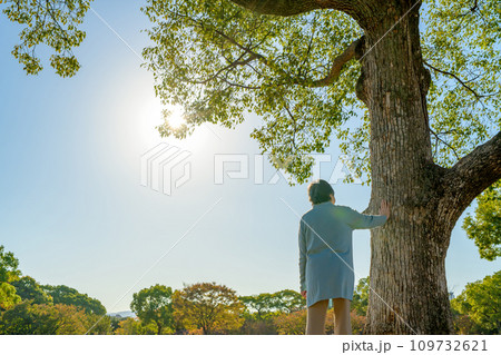 大樹に手を添え思いを馳せるシニアの女性 新緑公園 健康習慣 散歩 故人を偲ぶ 終活 ふんわり 昼 大樹に手を添え思いを馳せるシニアの女性 新緑公園 健康習慣 散歩 故人を偲ぶ 終活 ふんわり 昼 109732621