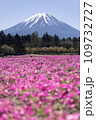 富士山と芝桜 109732727