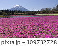 富士山と芝桜 109732728