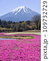 富士山と芝桜 109732729