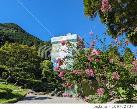 百日紅咲く瑠璃光寺五重塔(令和の大修理は令和8年3月まで) 百日紅咲く瑠璃光寺五重塔(令和の大修理は令和8年3月まで) 109732737