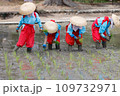 お田植行事 109732971