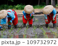 お田植行事 109732972
