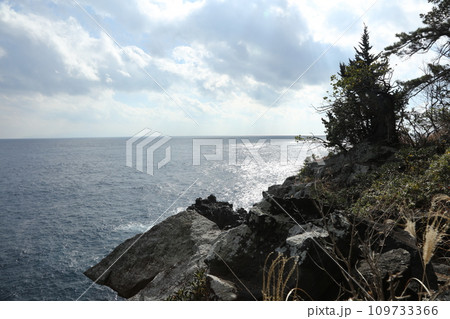 城ヶ崎海岸 城ヶ崎海岸 109733366