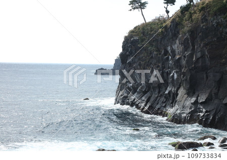 城ヶ崎海岸 城ヶ崎海岸 109733834