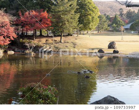 紅葉が美しい奈良公園の三社託宣池 紅葉が美しい奈良公園の三社託宣池 109733997