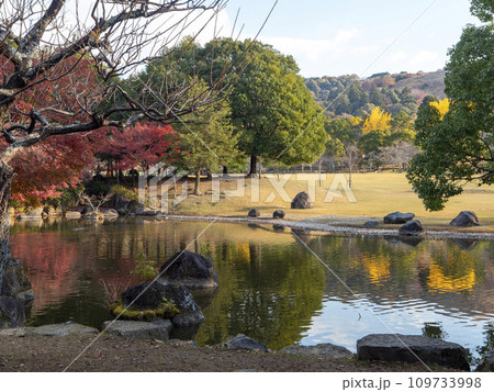 紅葉が美しい奈良公園の三社託宣池 紅葉が美しい奈良公園の三社託宣池 109733998