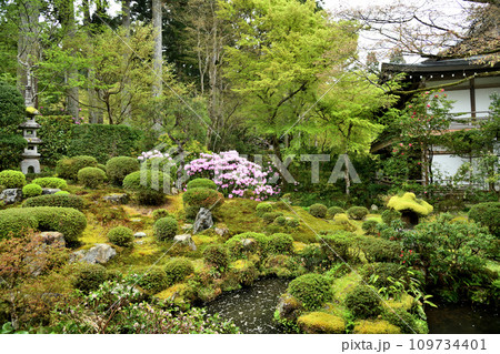 三千院(庭園) 【京都府京都市左京区大原来迎院町】 三千院(庭園) 【京都府京都市左京区大原来迎院町】 109734401
