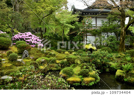 三千院(庭園)　【京都府京都市左京区大原来迎院町】  109734404