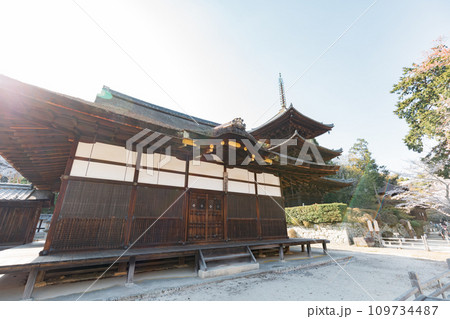 滋賀県大津市　三井寺　三重塔 109734487