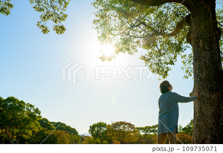 大樹に手を添え思いを馳せるシニアの女性　新緑公園　健康習慣　散歩　故人を偲ぶ　終活　見上げる　昼 109735071
