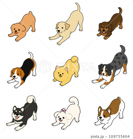 遊びに誘うシンプルで可愛い犬の手描きのイラストセットB 主線あり 遊びに誘うシンプルで可愛い犬の手描きのイラストセットB 主線あり 109735604